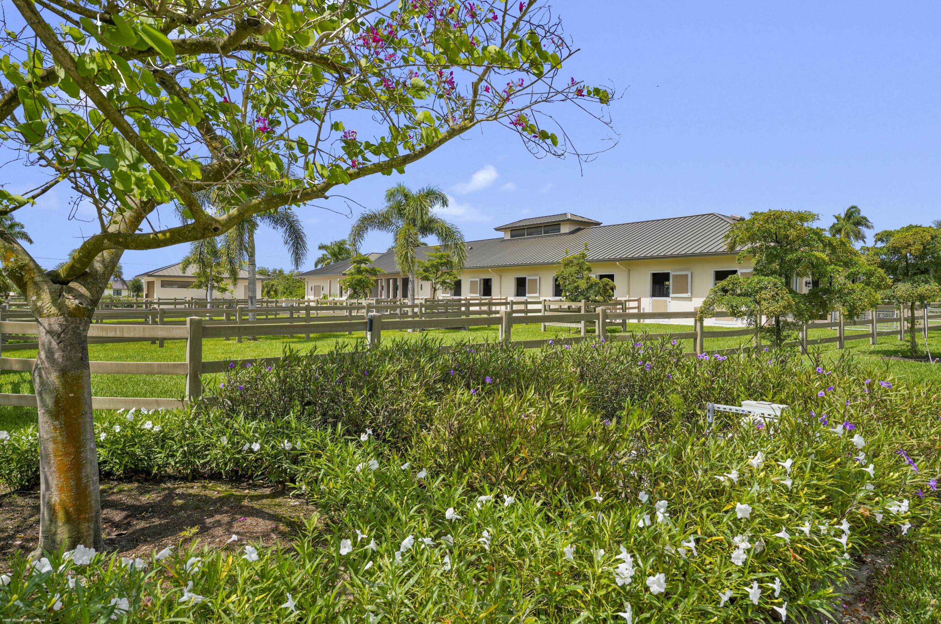 16219 Hollow Tree Lane