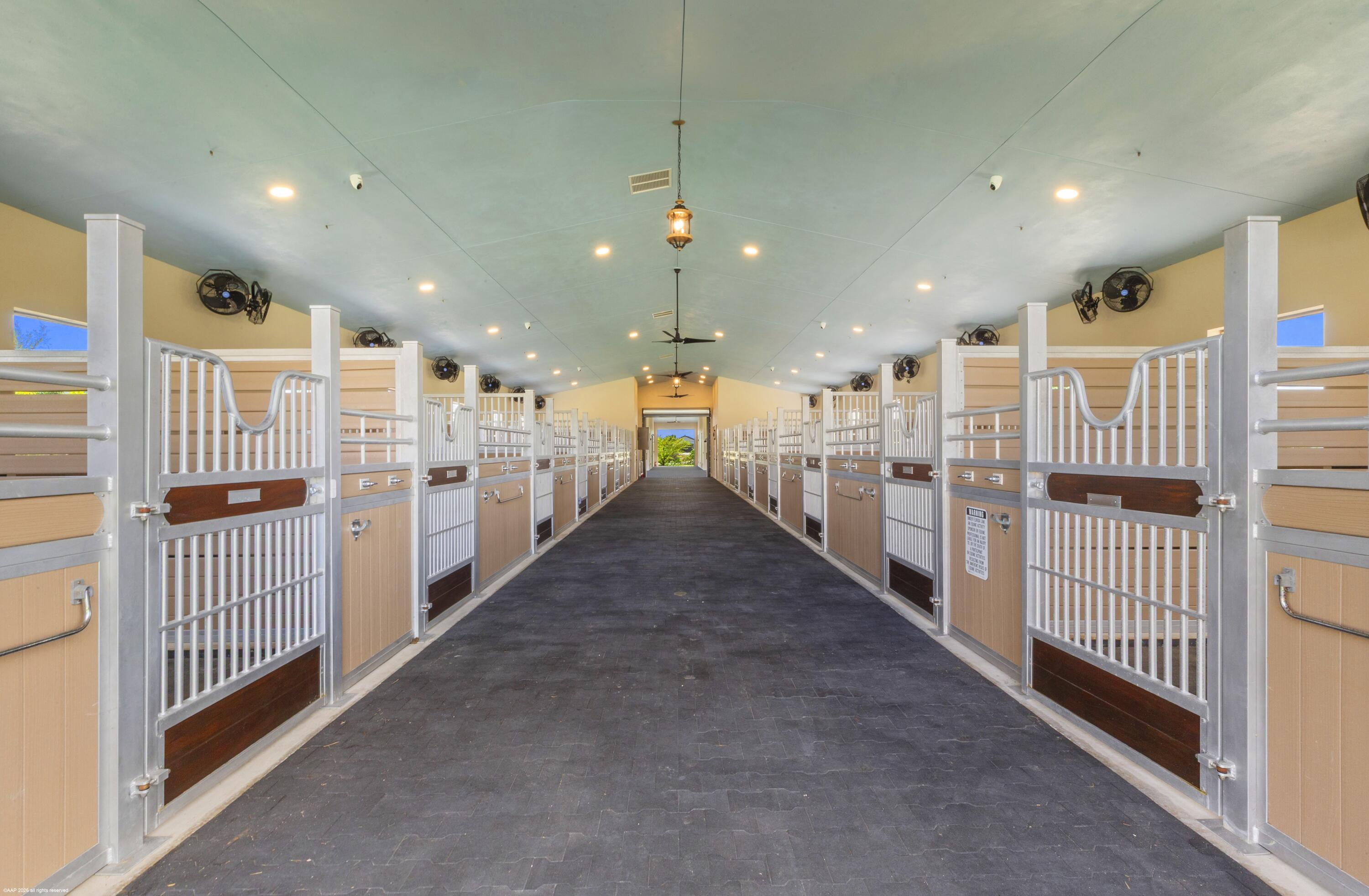 16219 Hollow Tree Lane