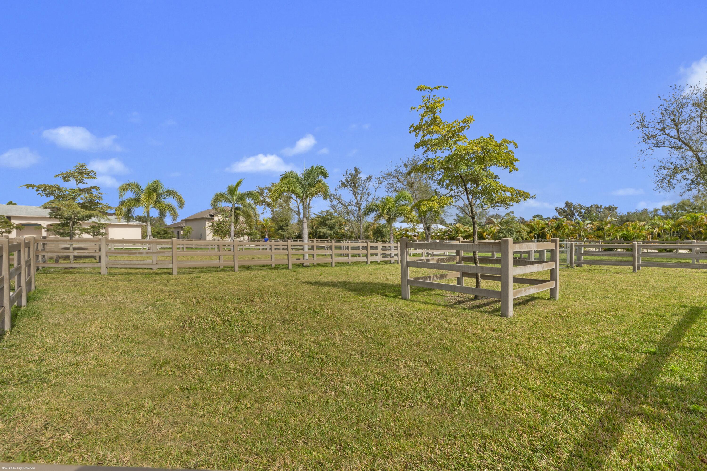16219 Hollow Tree Lane