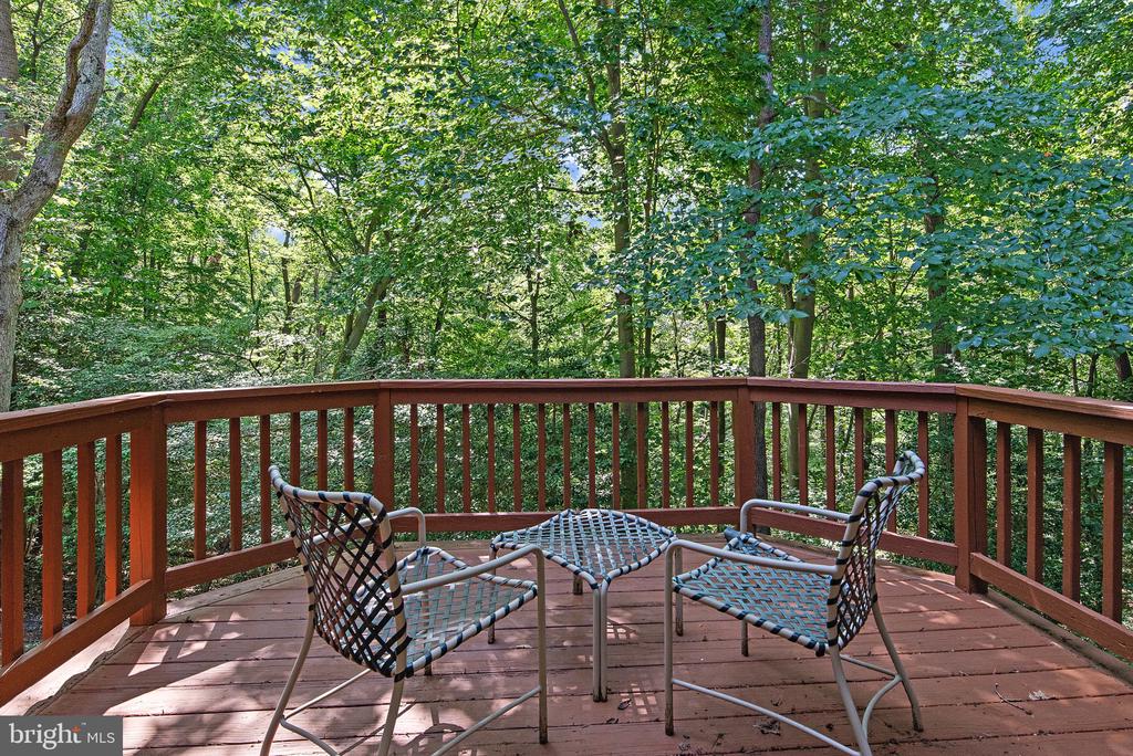 1627 WYATTS RIDGE