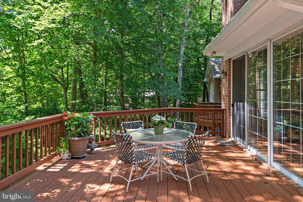 1627 WYATTS RIDGE