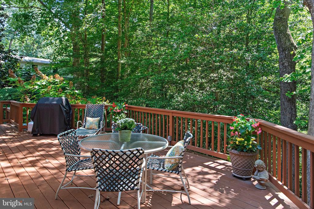 1627 WYATTS RIDGE
