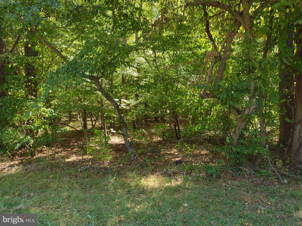 Parcel 195 TURKEY POINT RD
