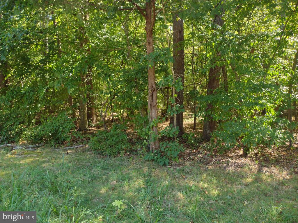 Parcel 195 TURKEY POINT RD