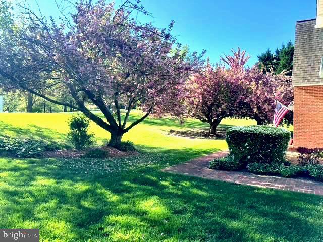 4438 WINDSOR FARM ROAD