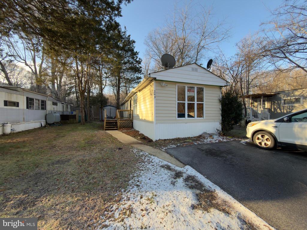 243 JAGUAR DRIVE
