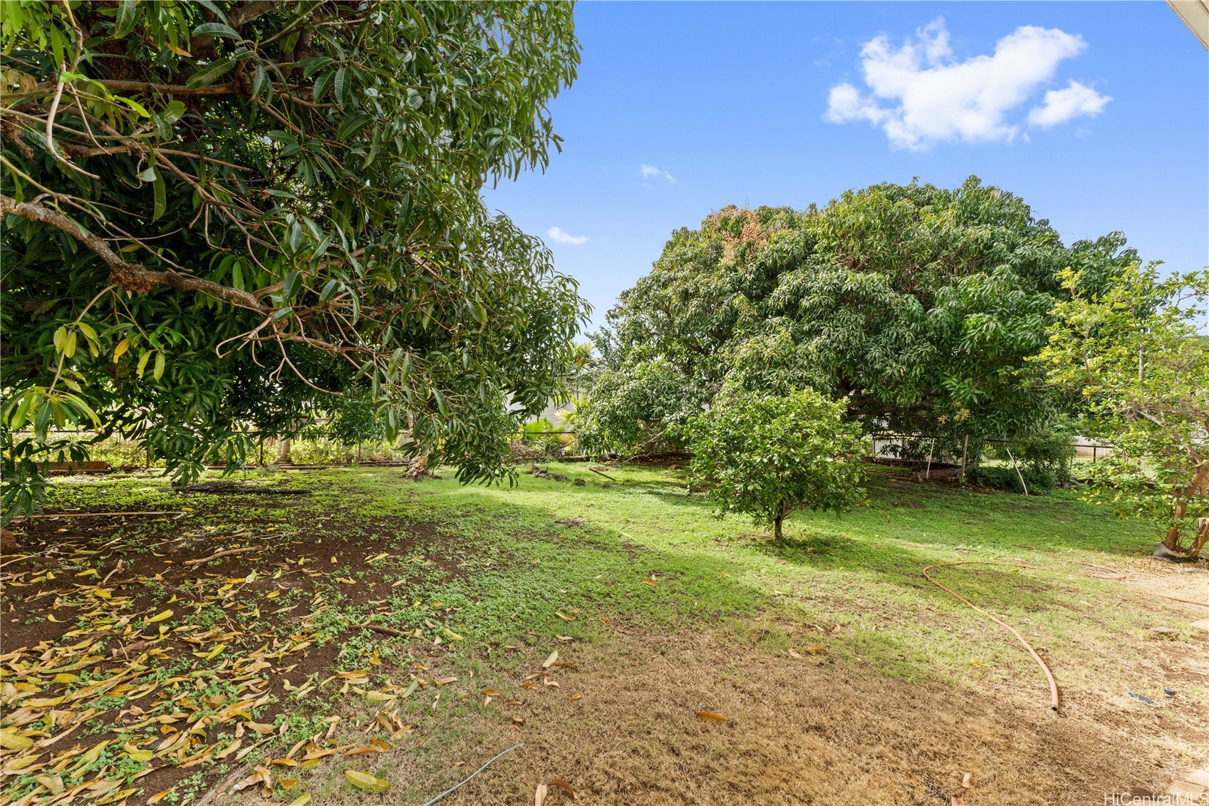 5349 Manauwea Street