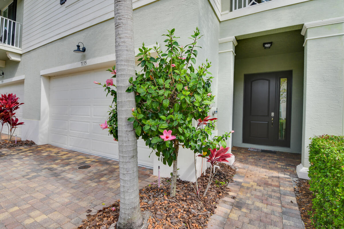 7135 Kensington Court