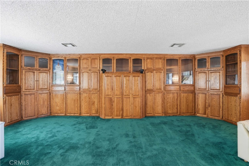 Vacant room with teal carpet and a wall of wood cabinetry surrounding a built-in entertainment center.