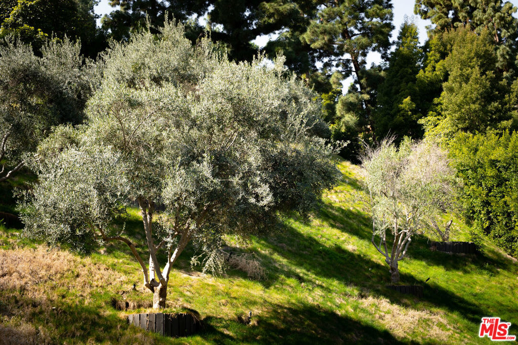 1231 Lago Vista Drive