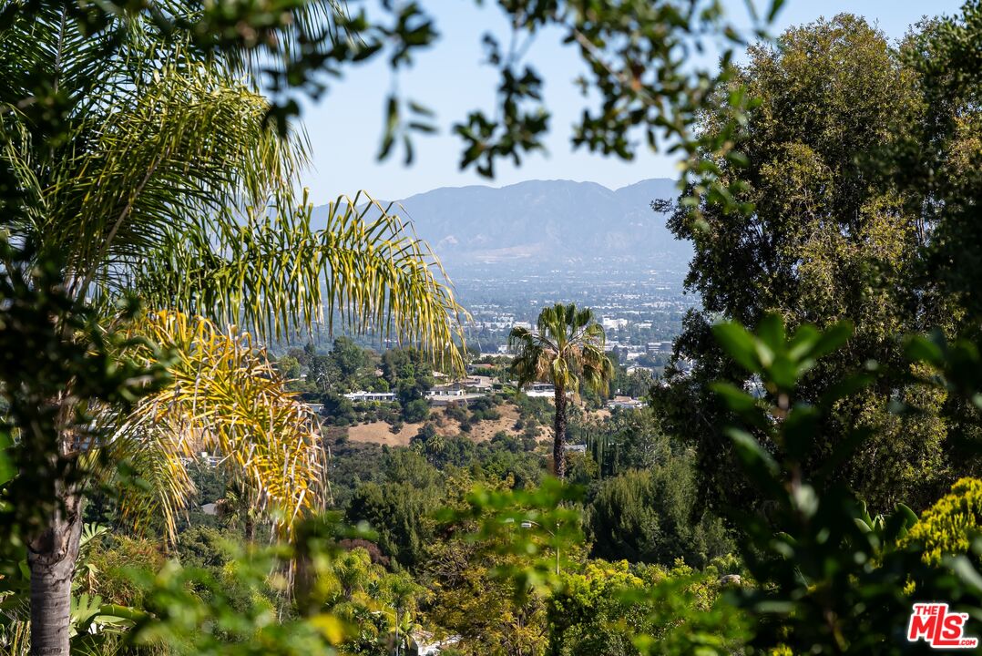 3371 Alana Dr