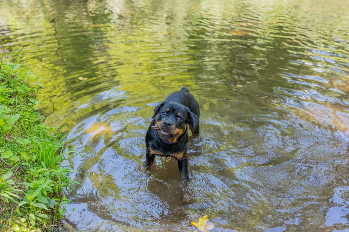 3095 Silversteen Road