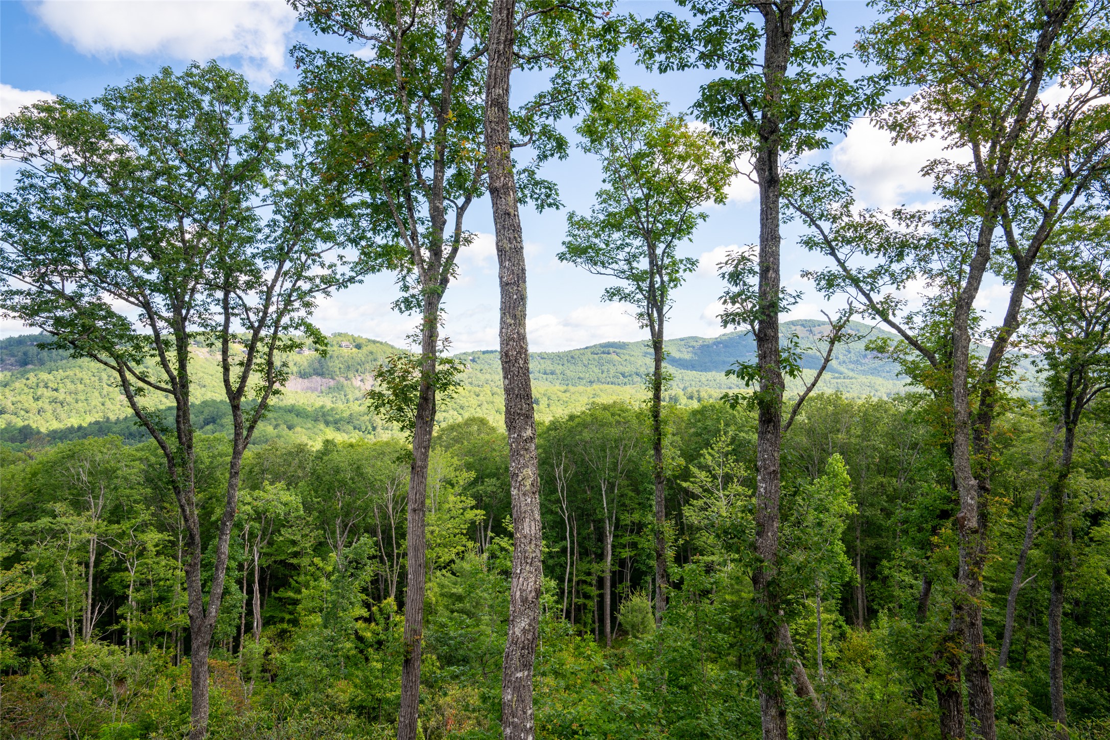 281 High Cliffs Road