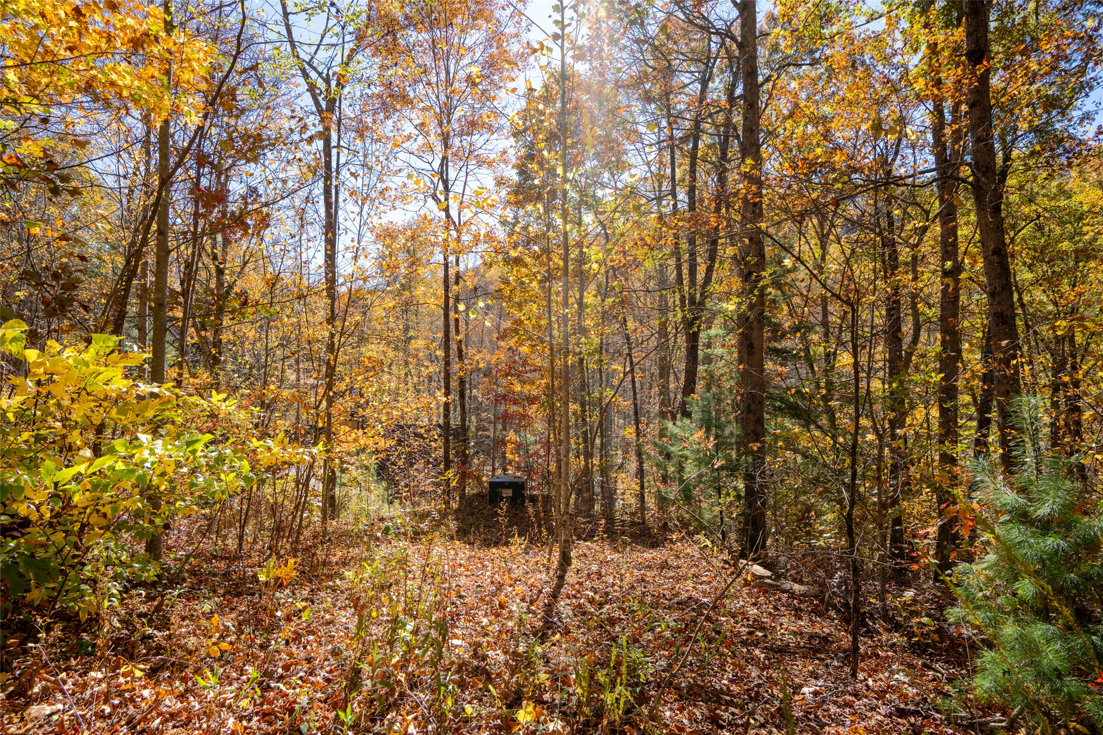 17 Pilot Knob Road