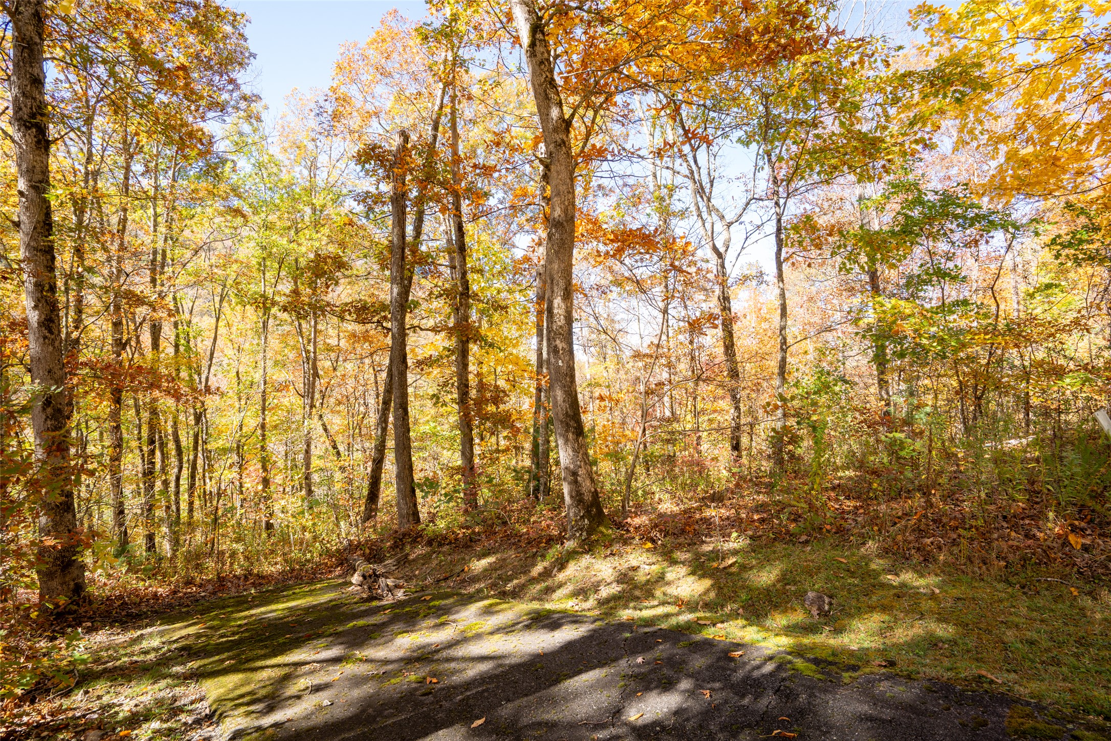 17 Pilot Knob Road