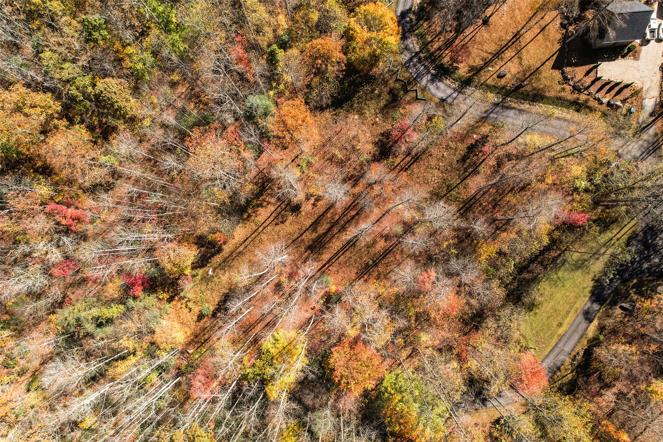81 Pasture Road