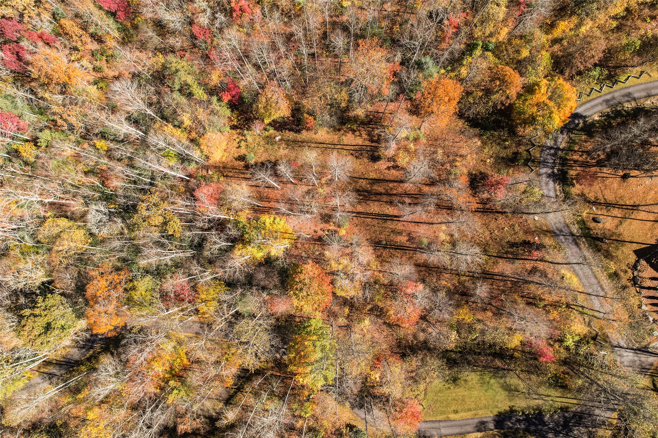 81 Pasture Road