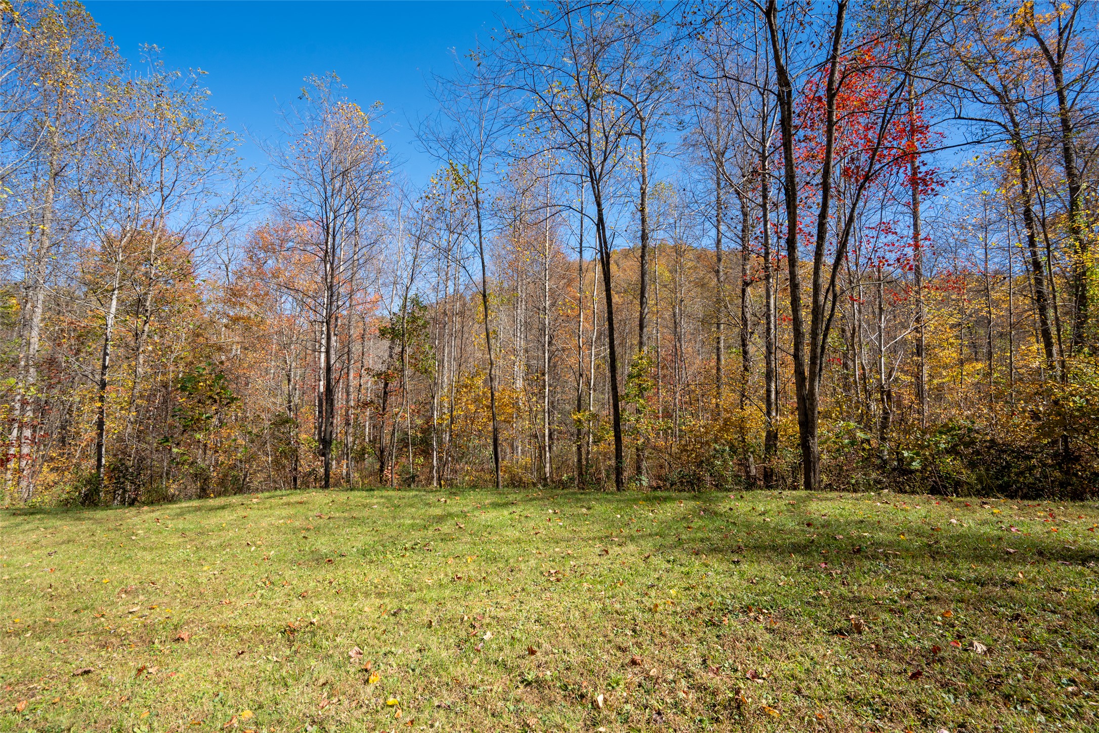 81 Pasture Road