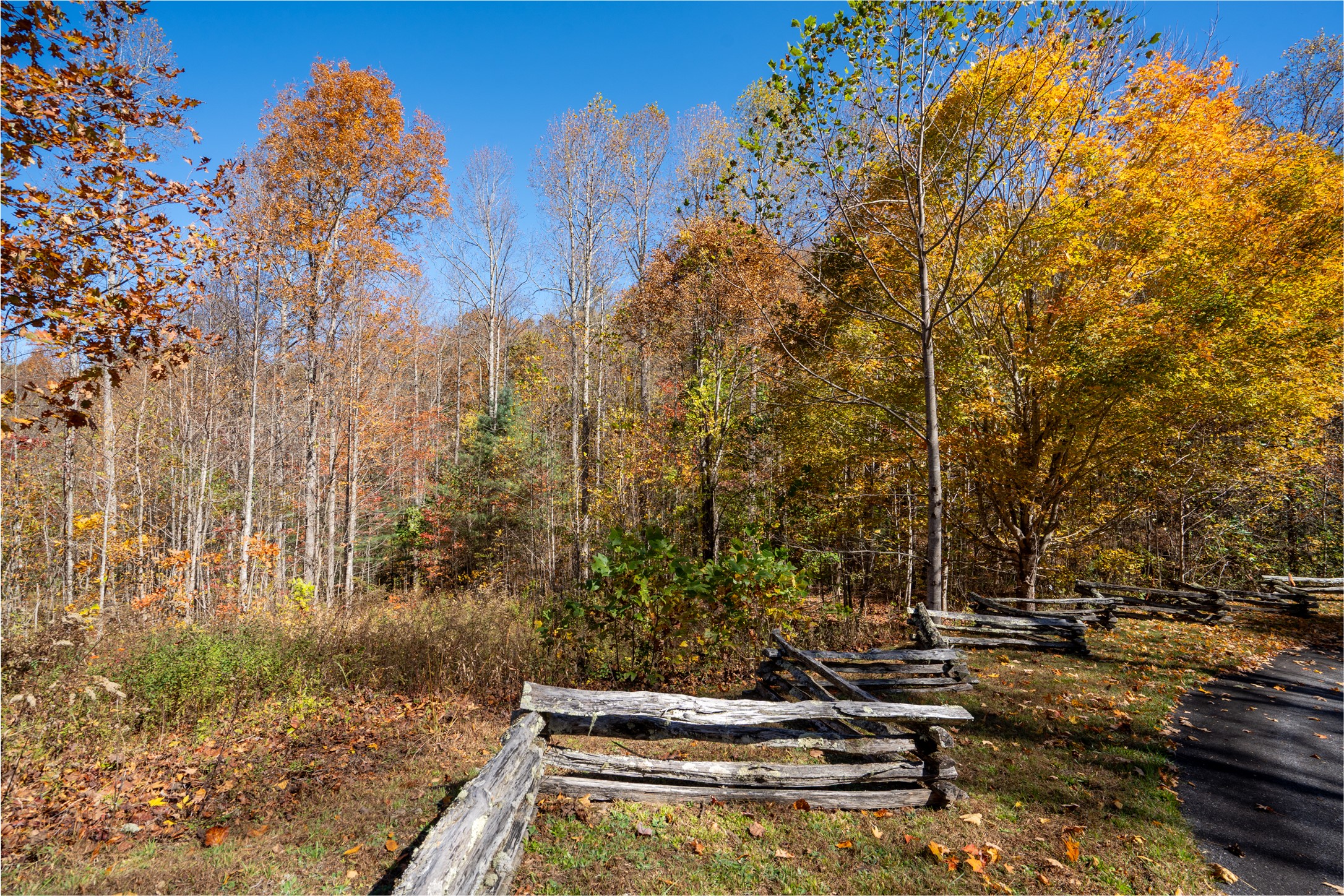 81 Pasture Road