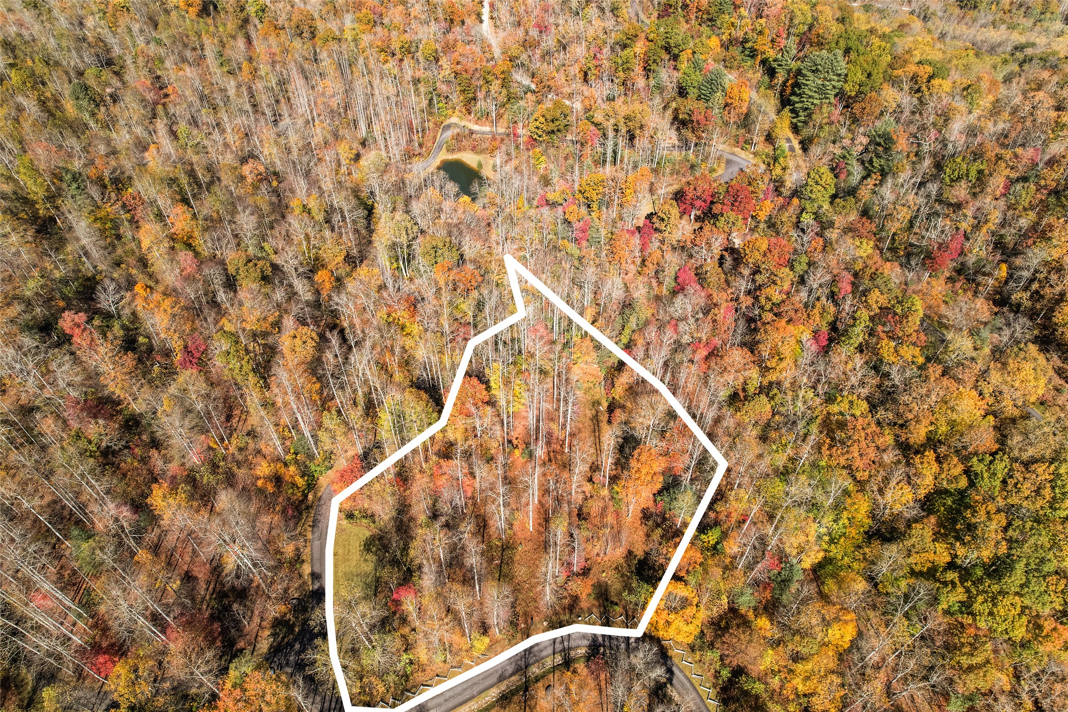 81 Pasture Road