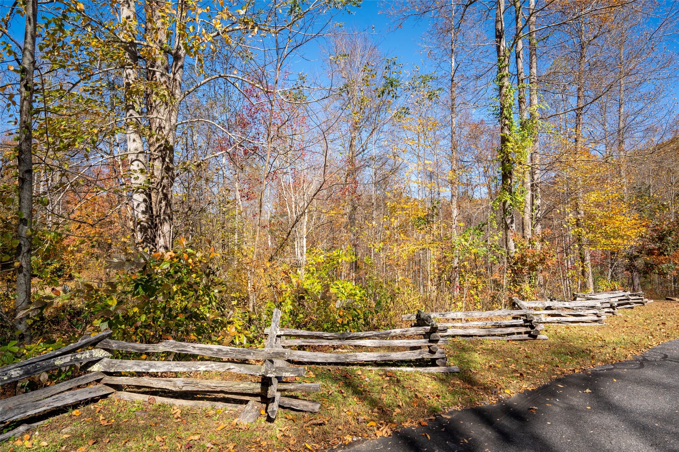 81 Pasture Road