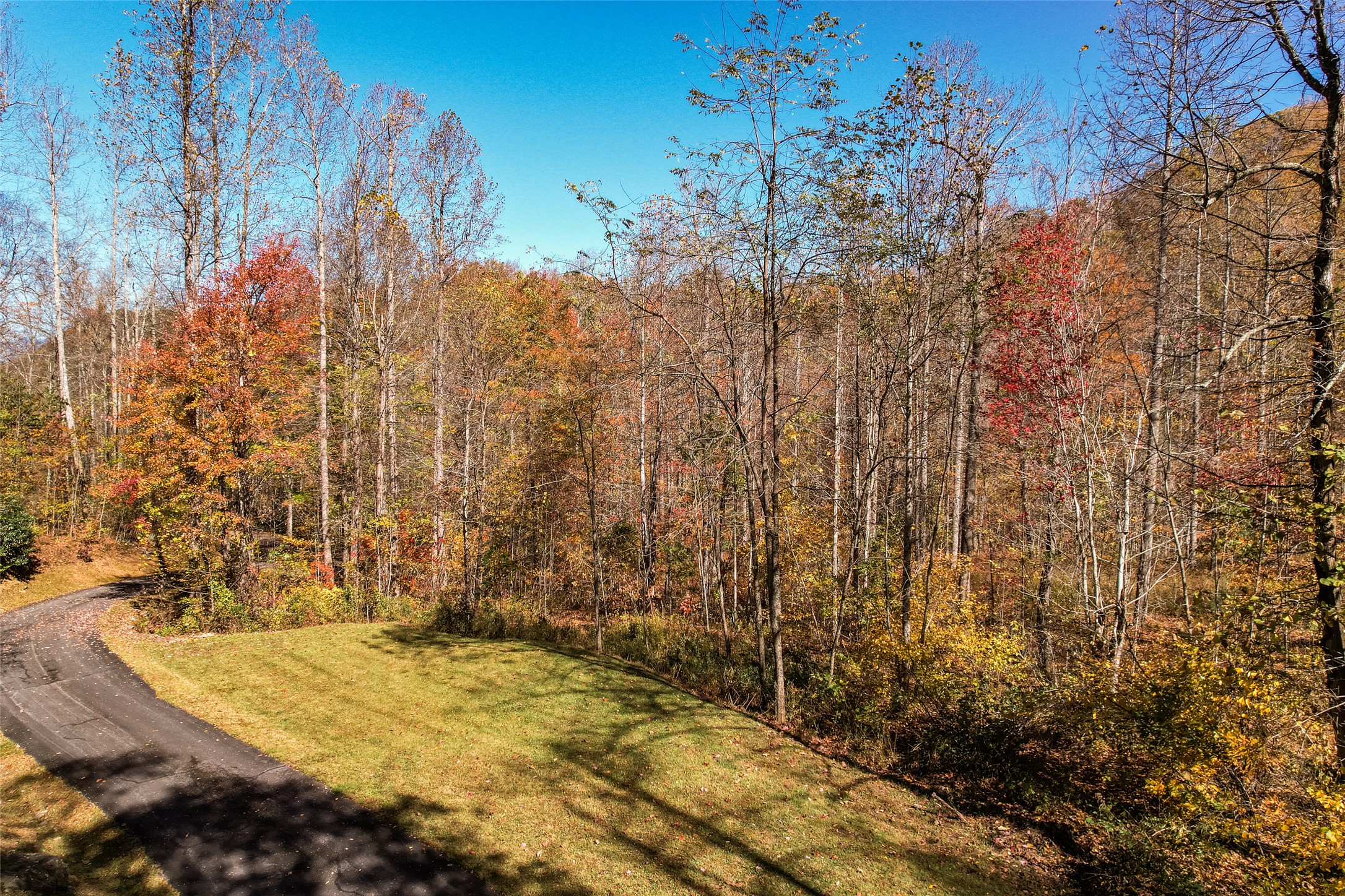 81 Pasture Road
