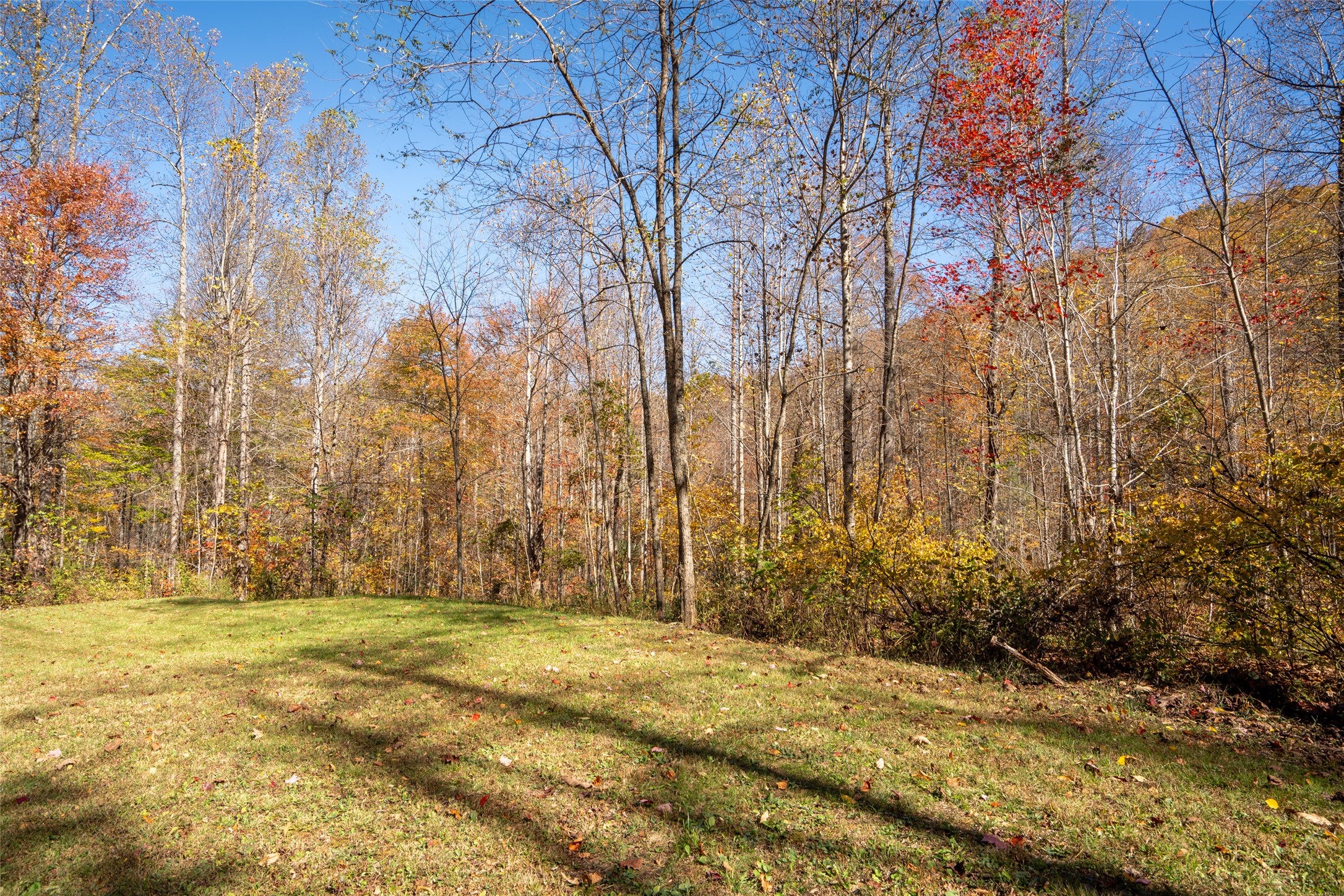 81 Pasture Road