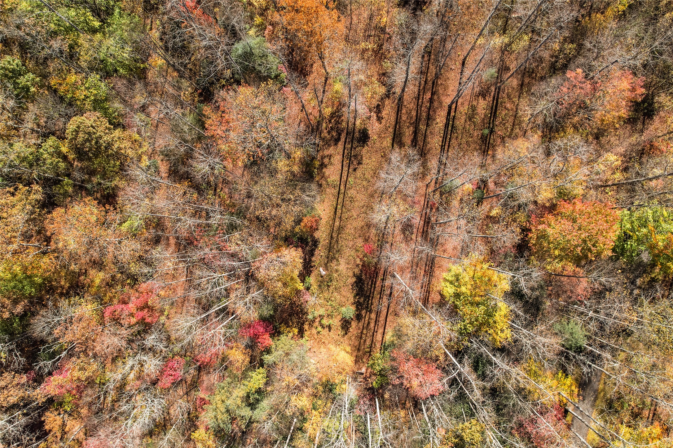 81 Pasture Road