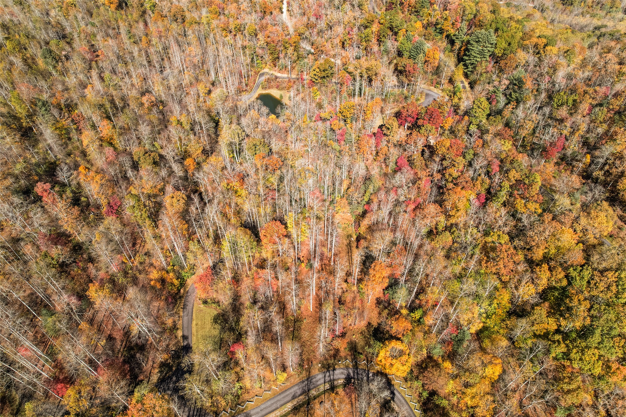 81 Pasture Road