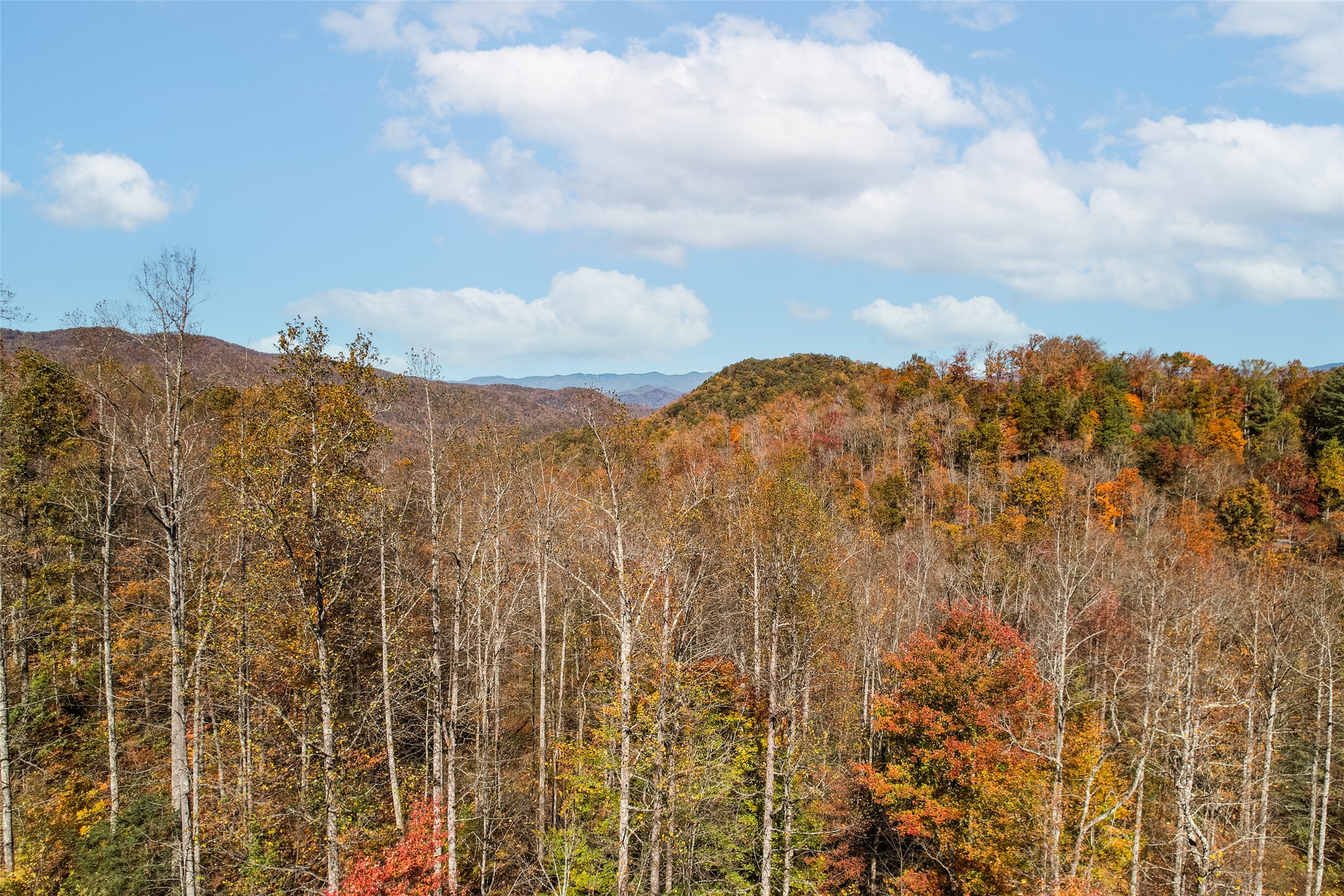 81 Pasture Road