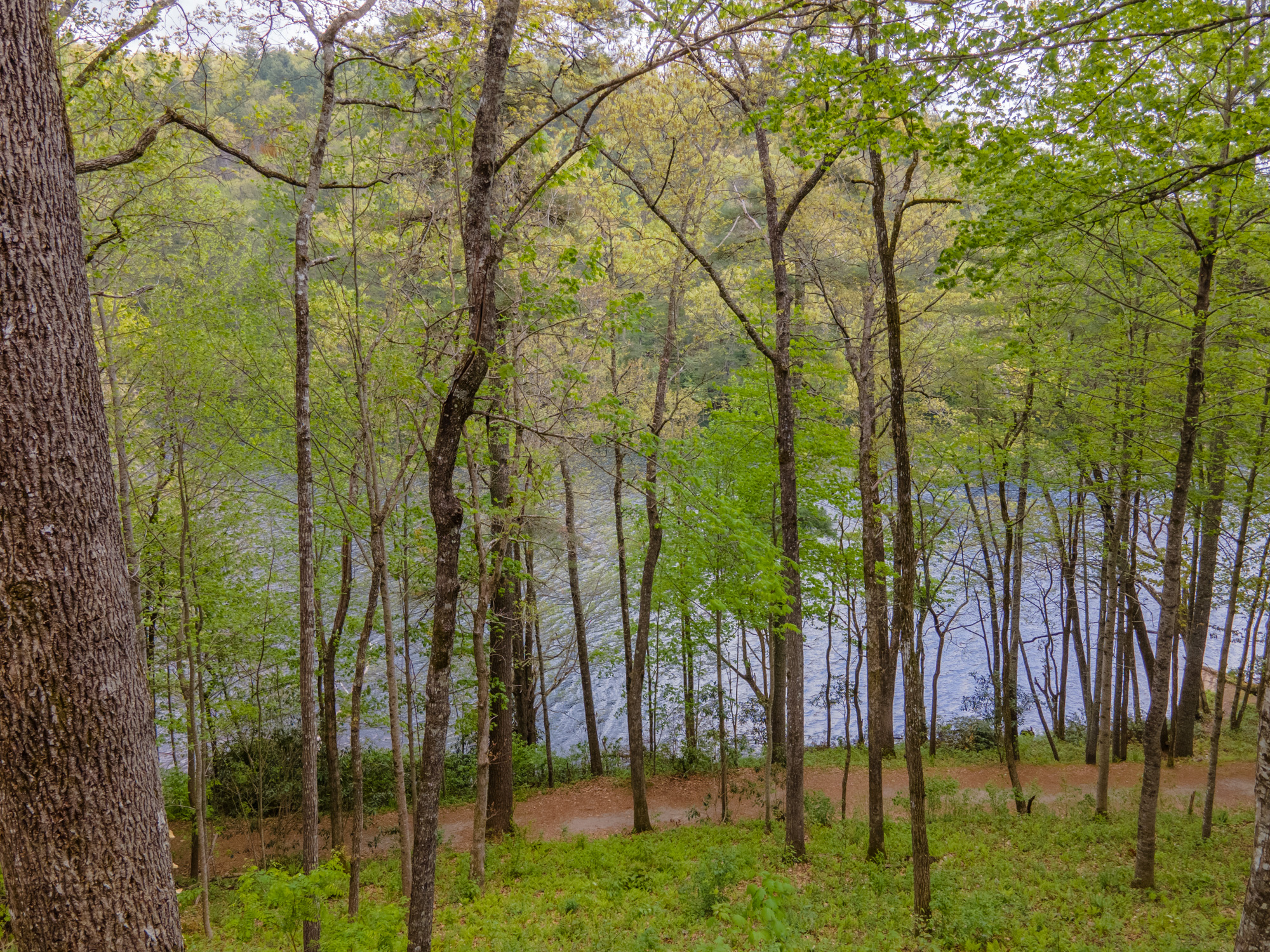 151 Overlook Road B