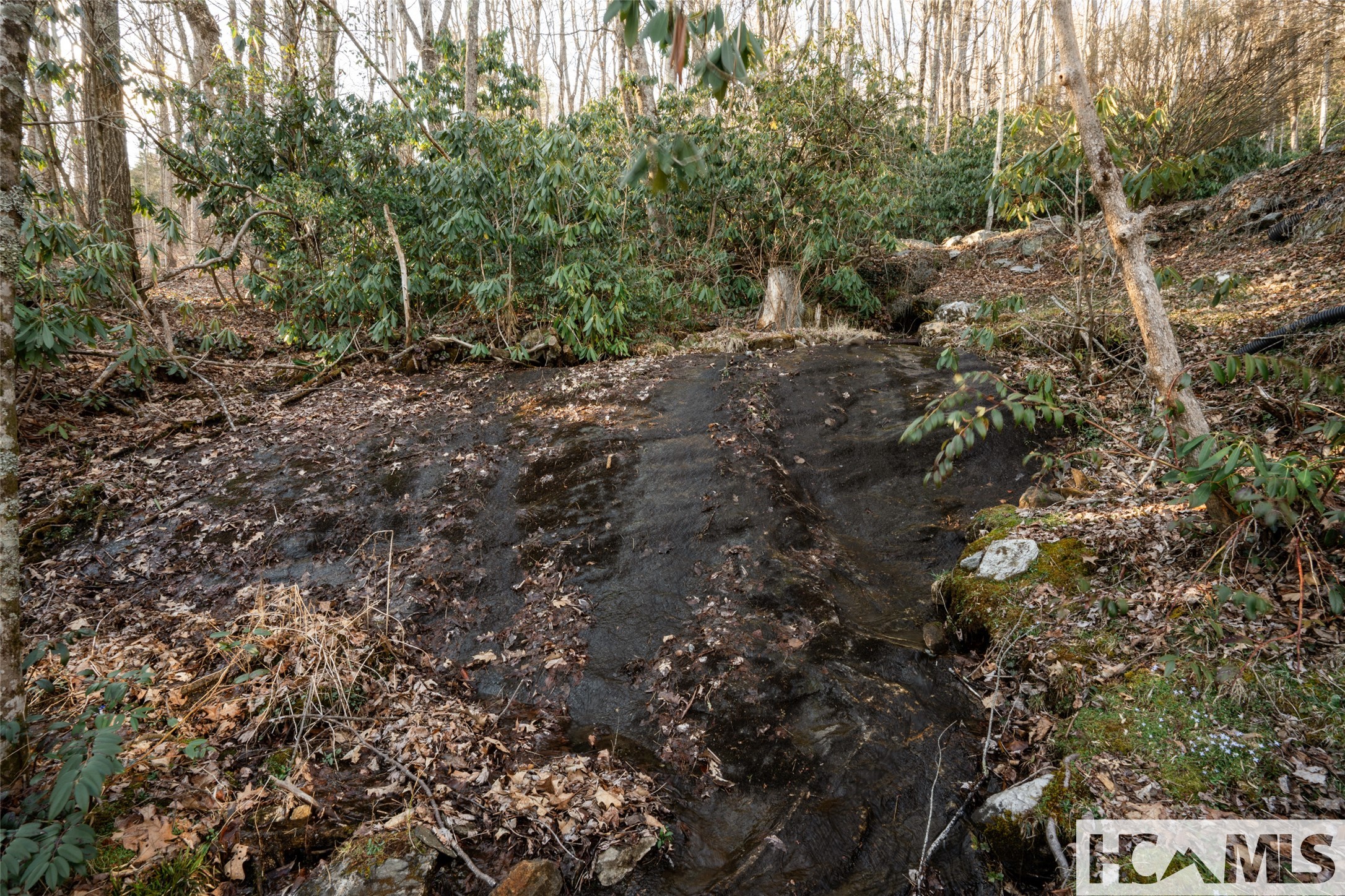 1624 Tower Road