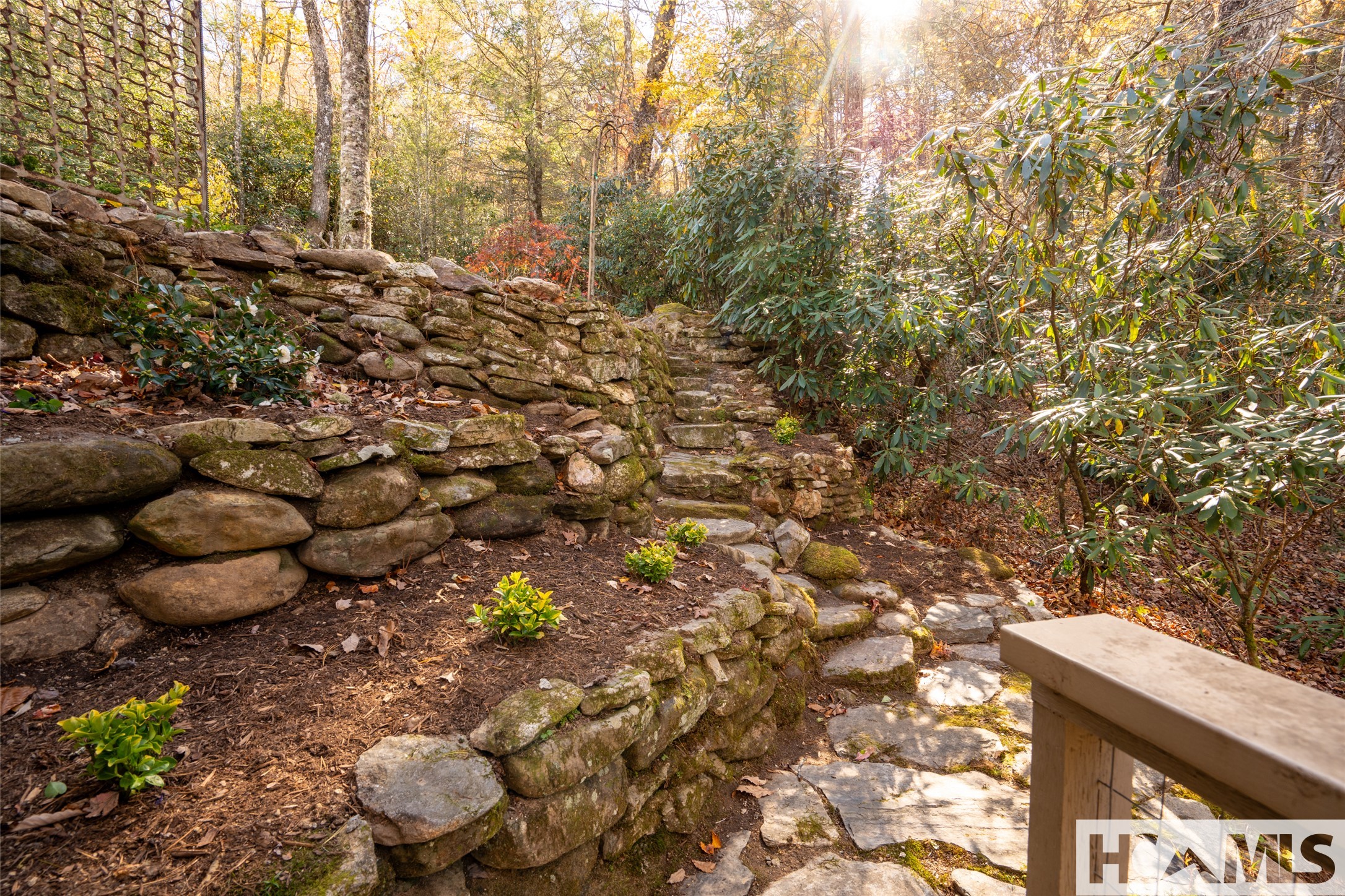 1527 Wandering Ridge Road