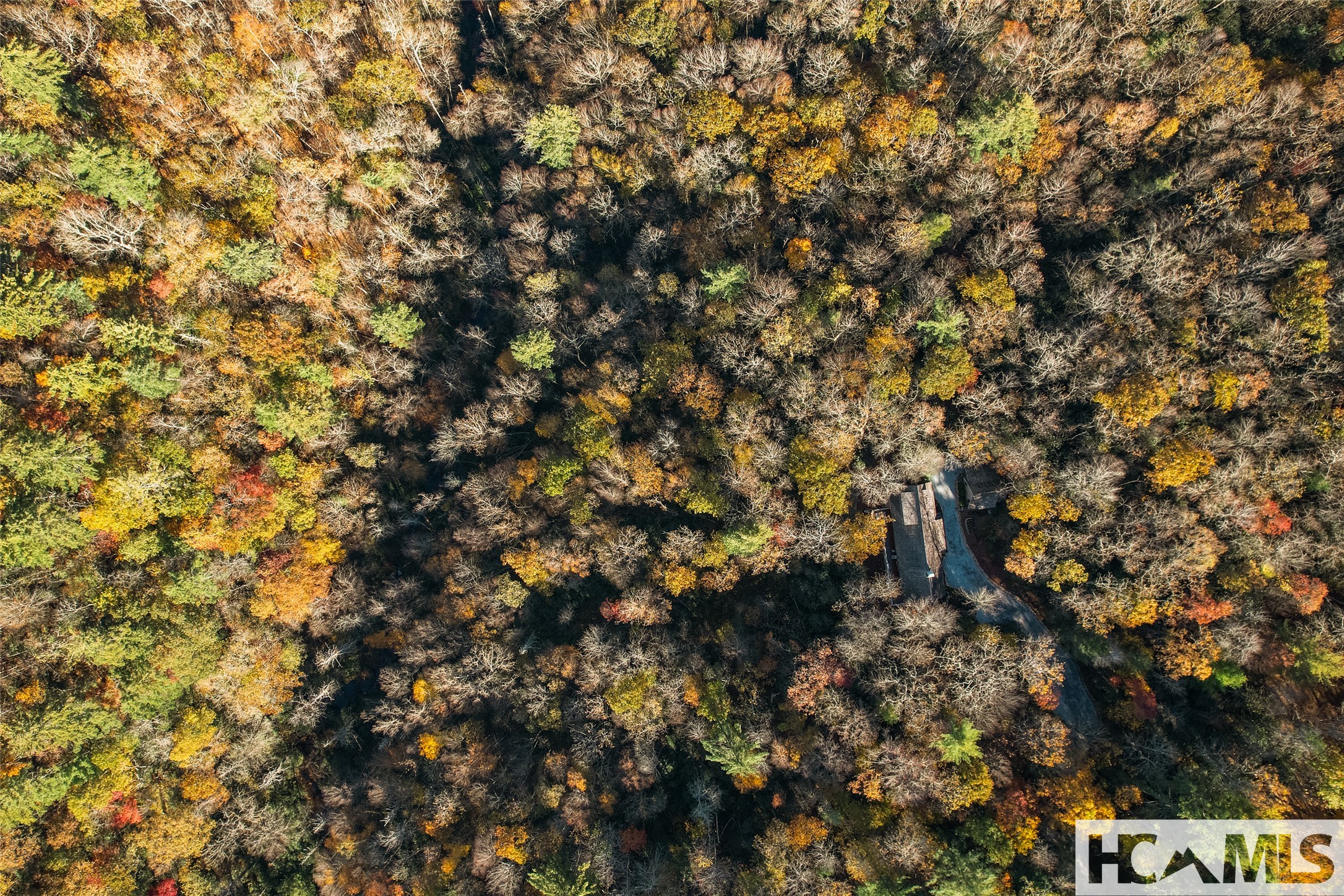 1527 Wandering Ridge Road