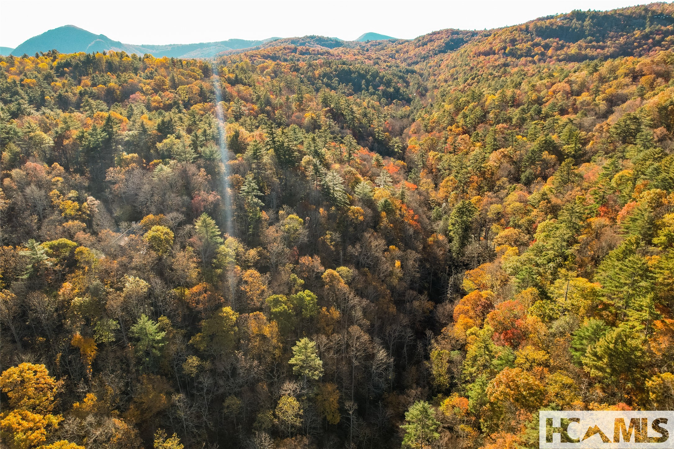 1527 Wandering Ridge Road