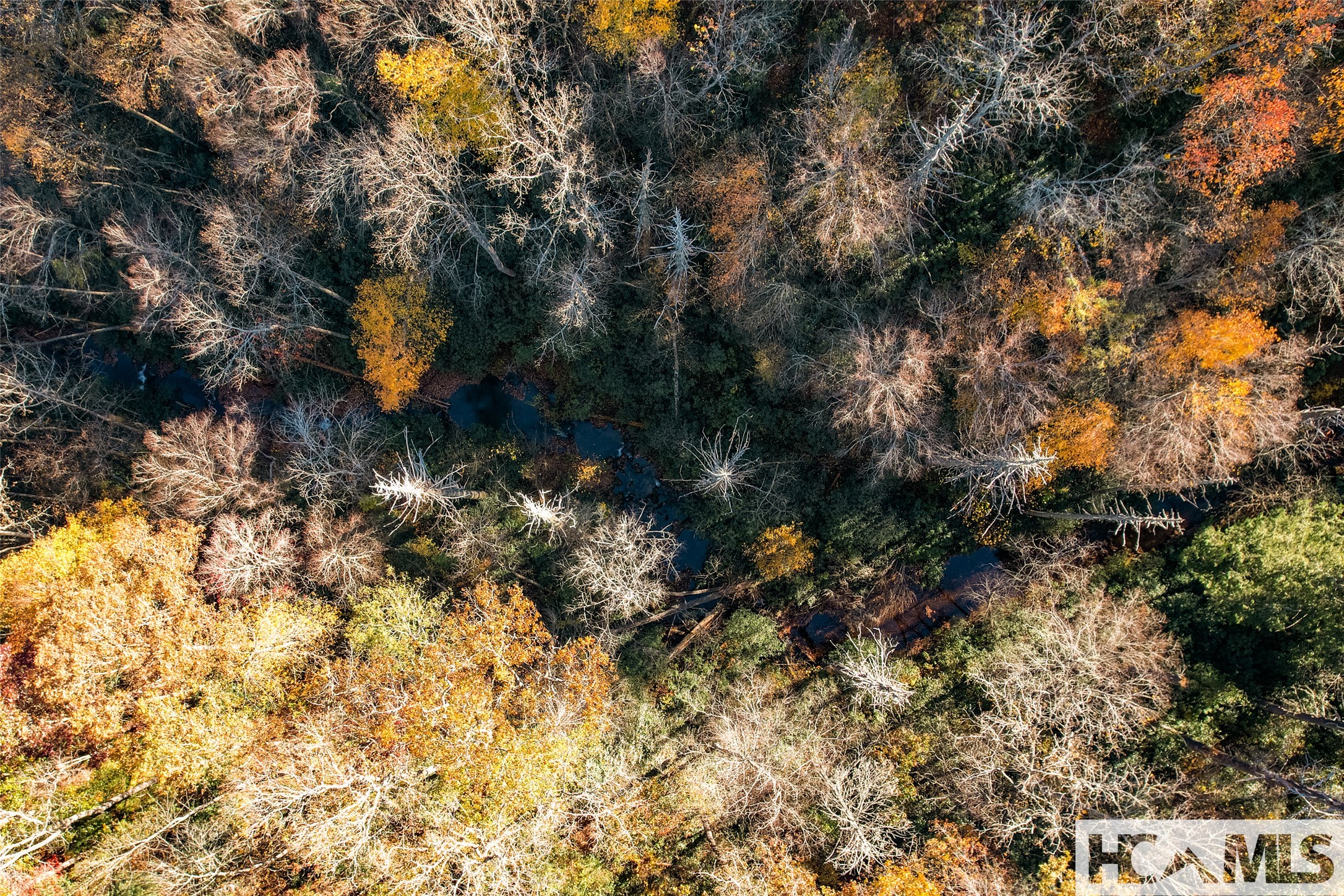 1527 Wandering Ridge Road