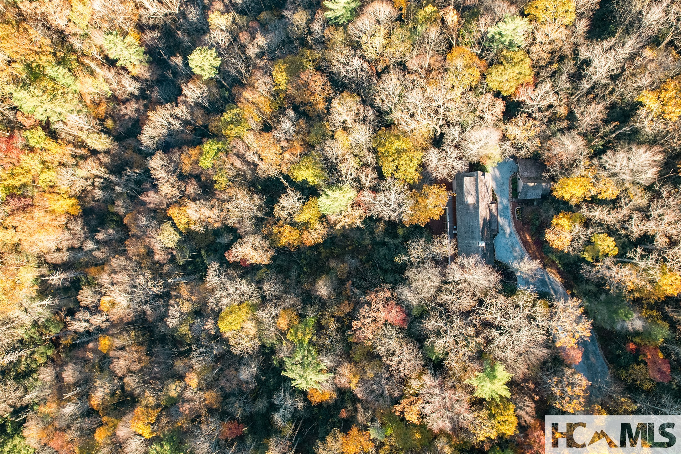 1527 Wandering Ridge Road