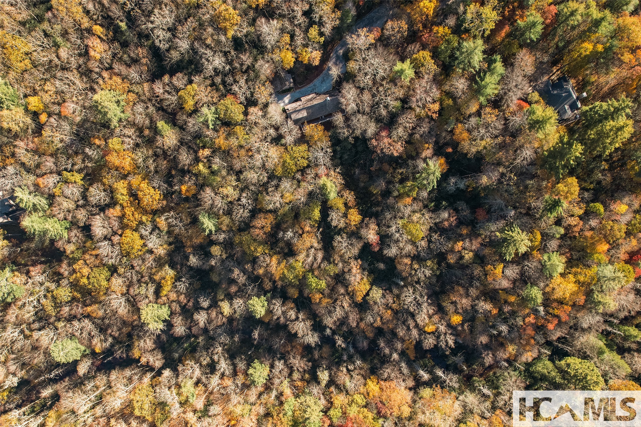 1527 Wandering Ridge Road