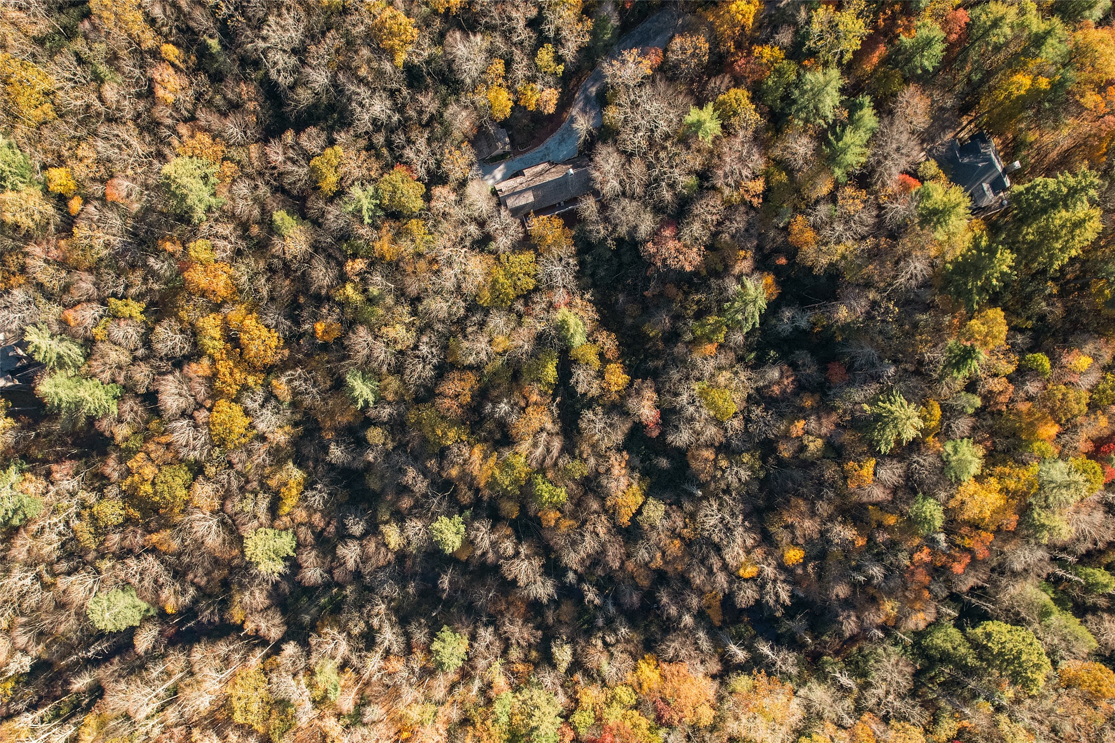 1527 Wandering Ridge Road