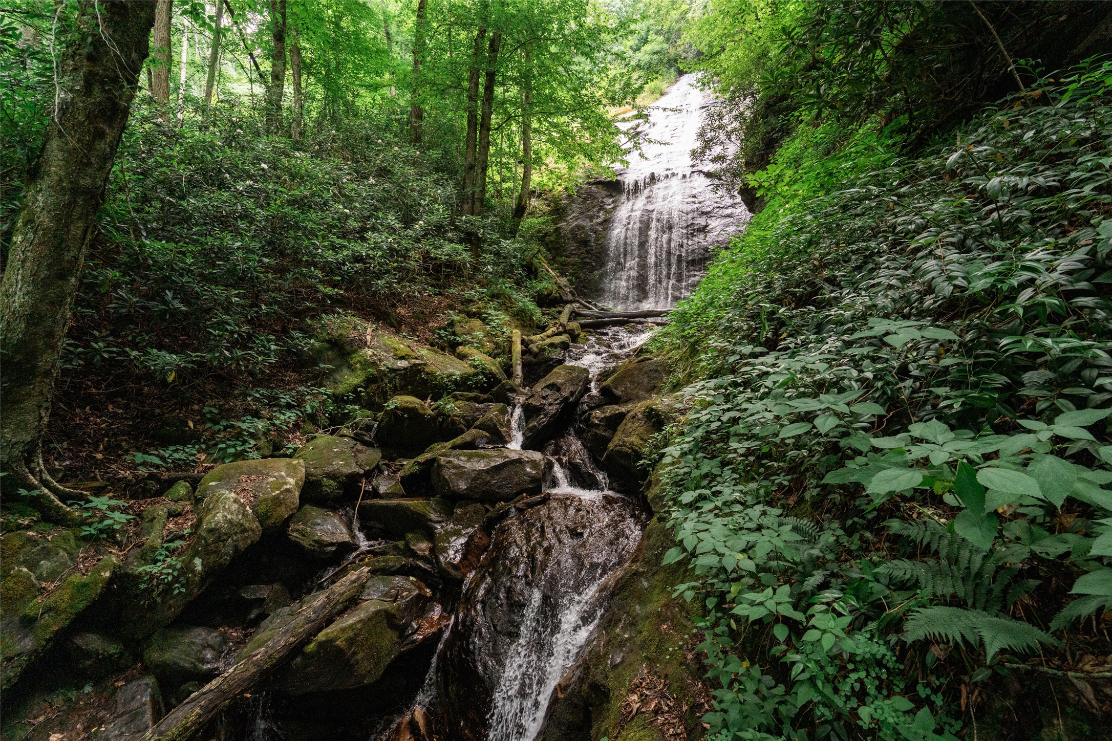 27 Cullowhee Forest Road