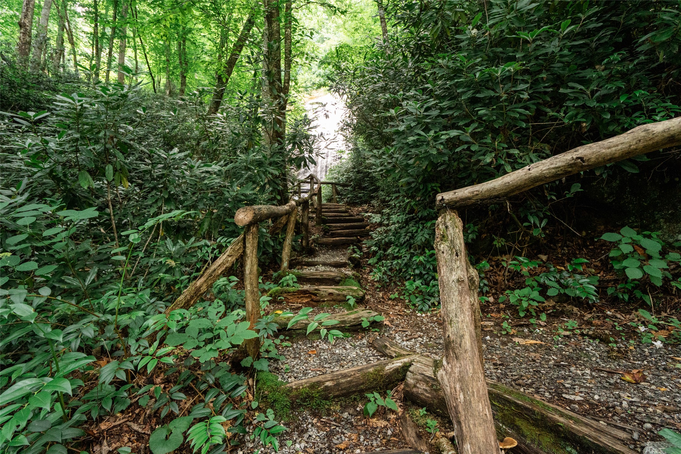27 Cullowhee Forest Road