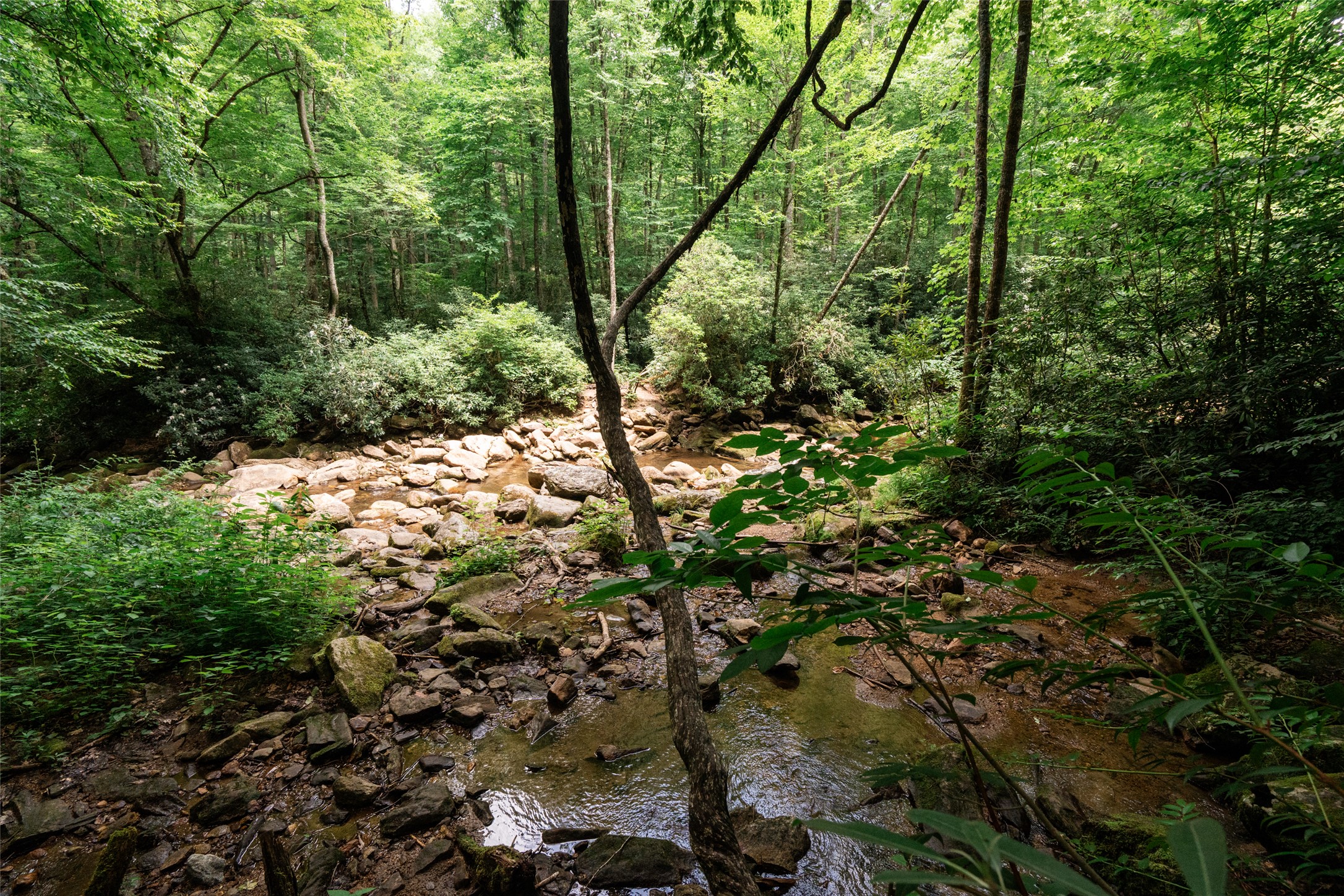 27 Cullowhee Forest Road
