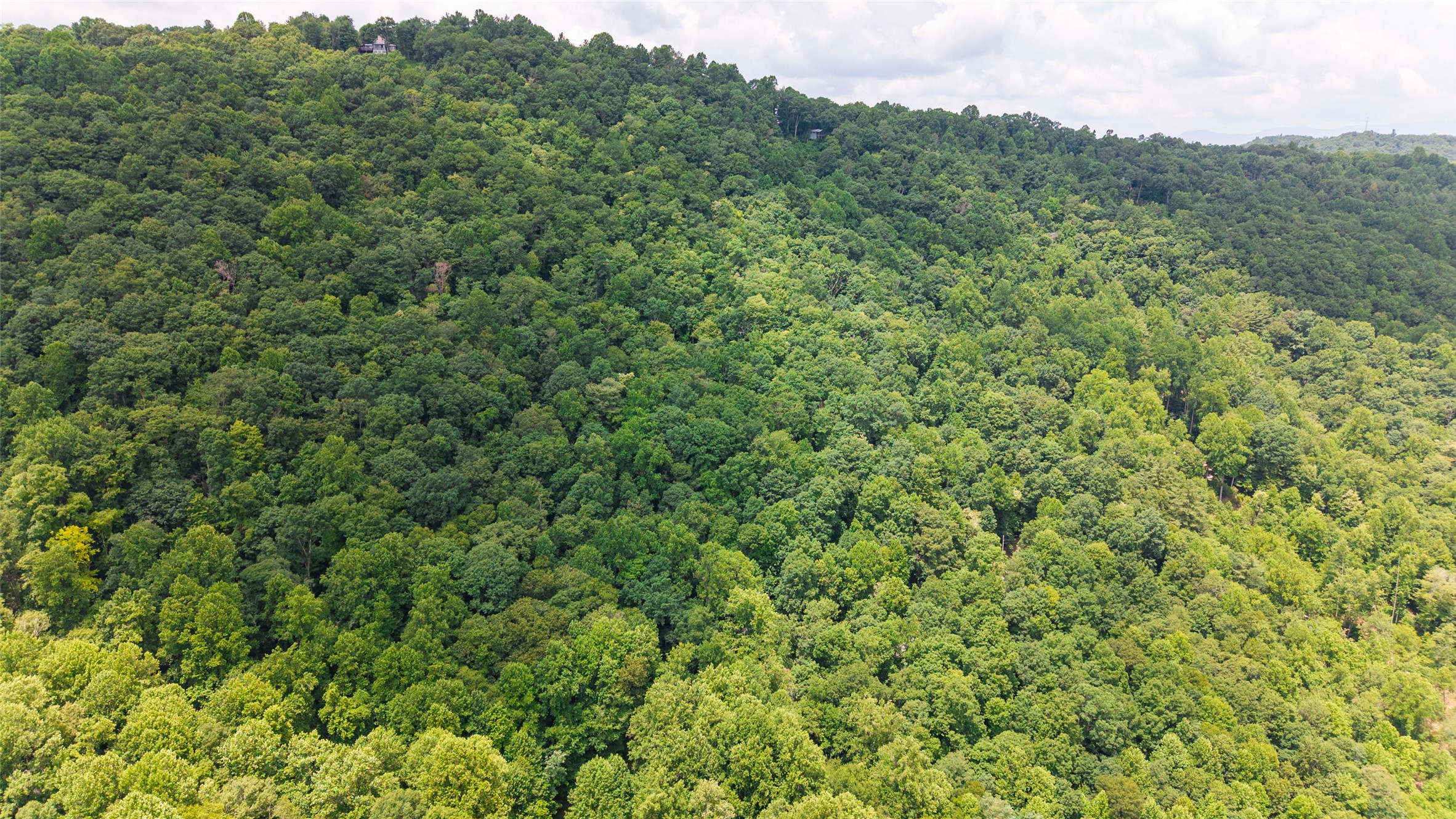 27 Cullowhee Forest Road