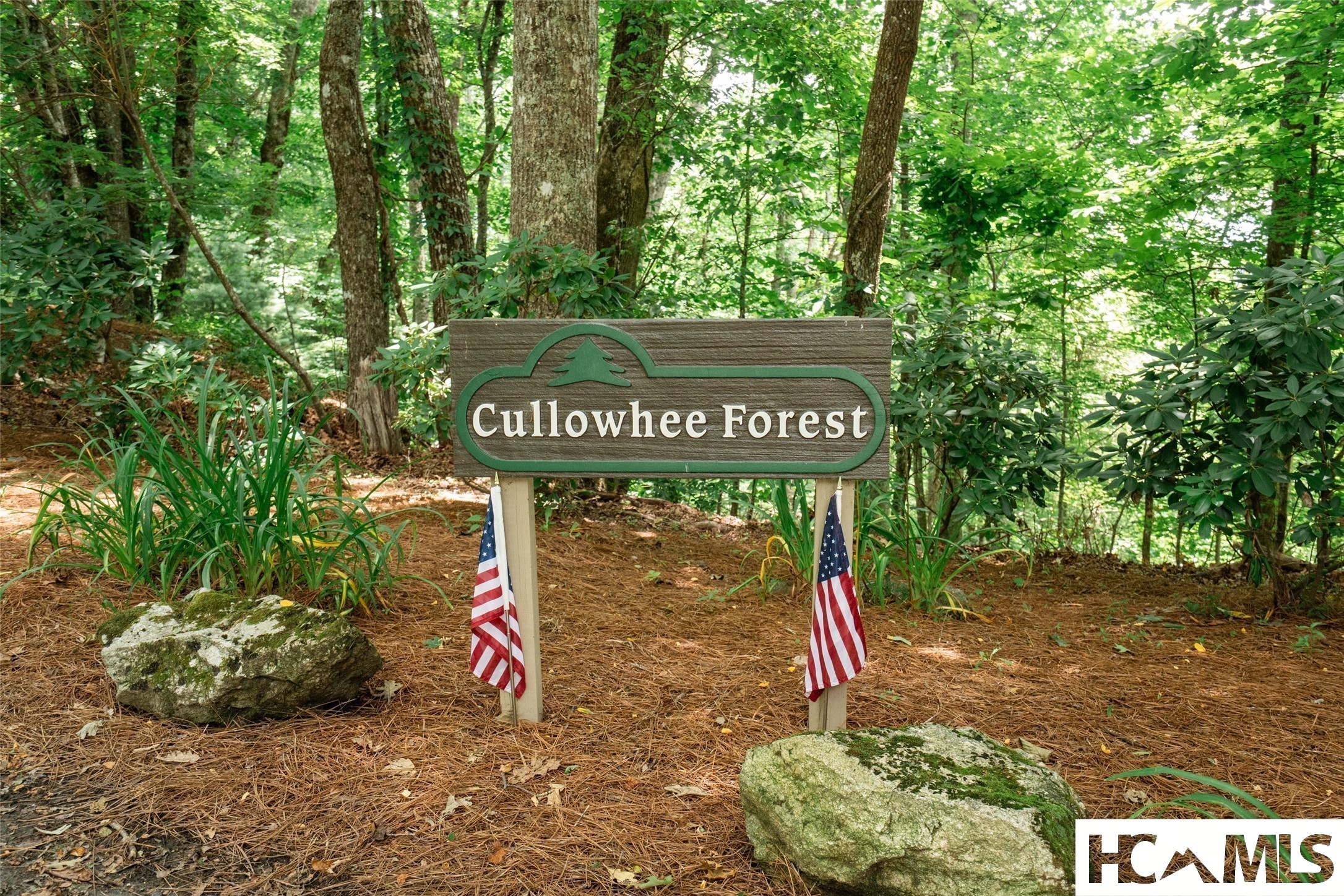 27 Cullowhee Forest Road