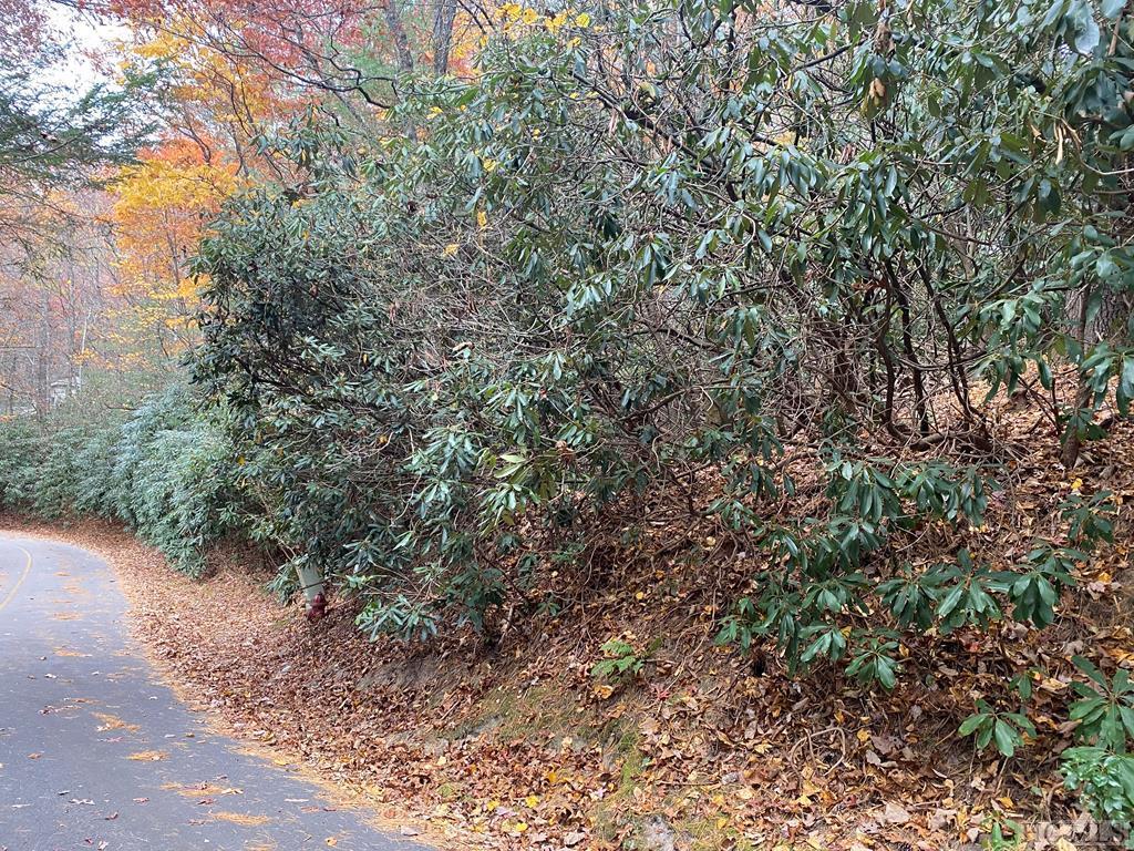 Lot 10 Gold Creek Road