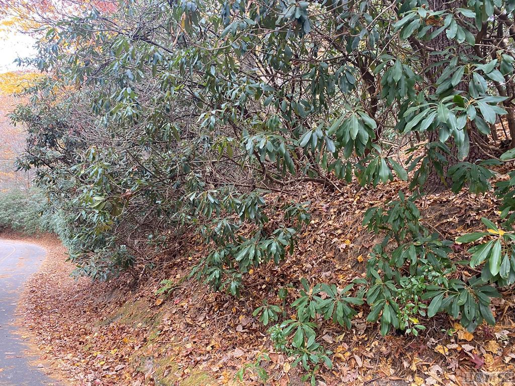 Lot 10 Gold Creek Road