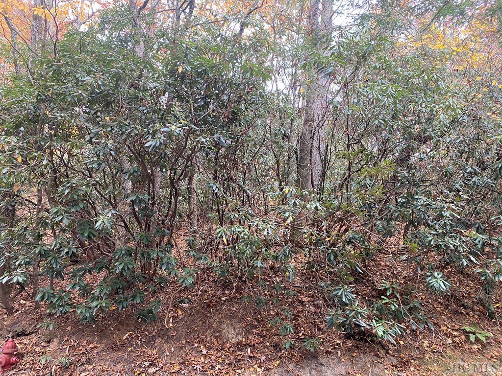 Lot 10 Gold Creek Road