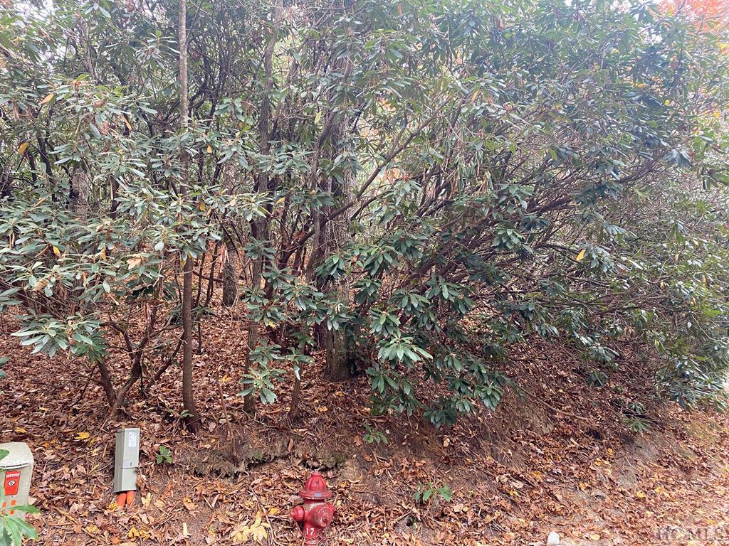 Lot 10 Gold Creek Road