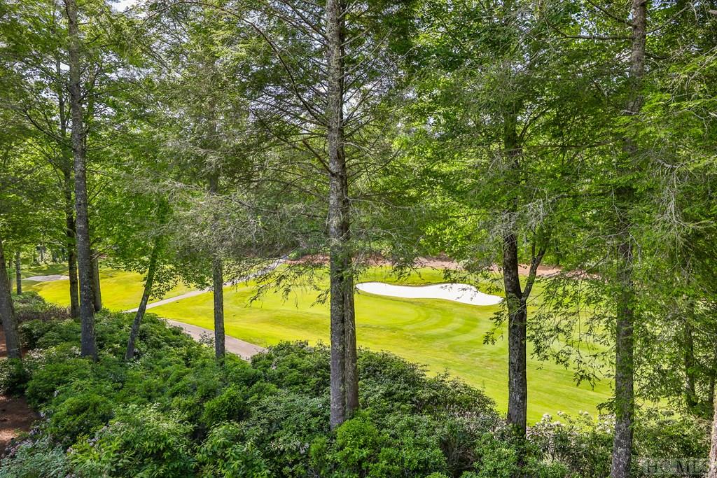 99 S River Park Villas Drive D