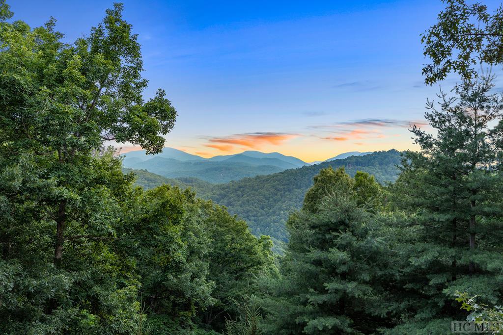 34 Milkweed Trail